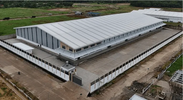 zan0ol6zakicui1ebi5o